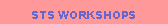 Text Box: STS WORKSHOPS
