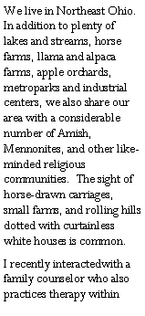 Text Box: We live in Northeast Ohio.  In addition to plenty of lakes and streams, horse farms, llama and alpaca farms, apple orchards, metroparks and industrial centers, we also share our area with a considerable number of Amish, Mennonites, and other like-minded religious communities.  The sight of horse-drawn carriages, small farms, and rolling hills dotted with curtainless white houses is common.I recently interactedwith a family counselor who also practices therapy within